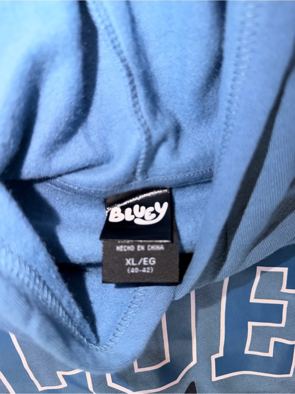 Bluey Graphic Pullover Hoodie in Teal - Picture 3 of 3
